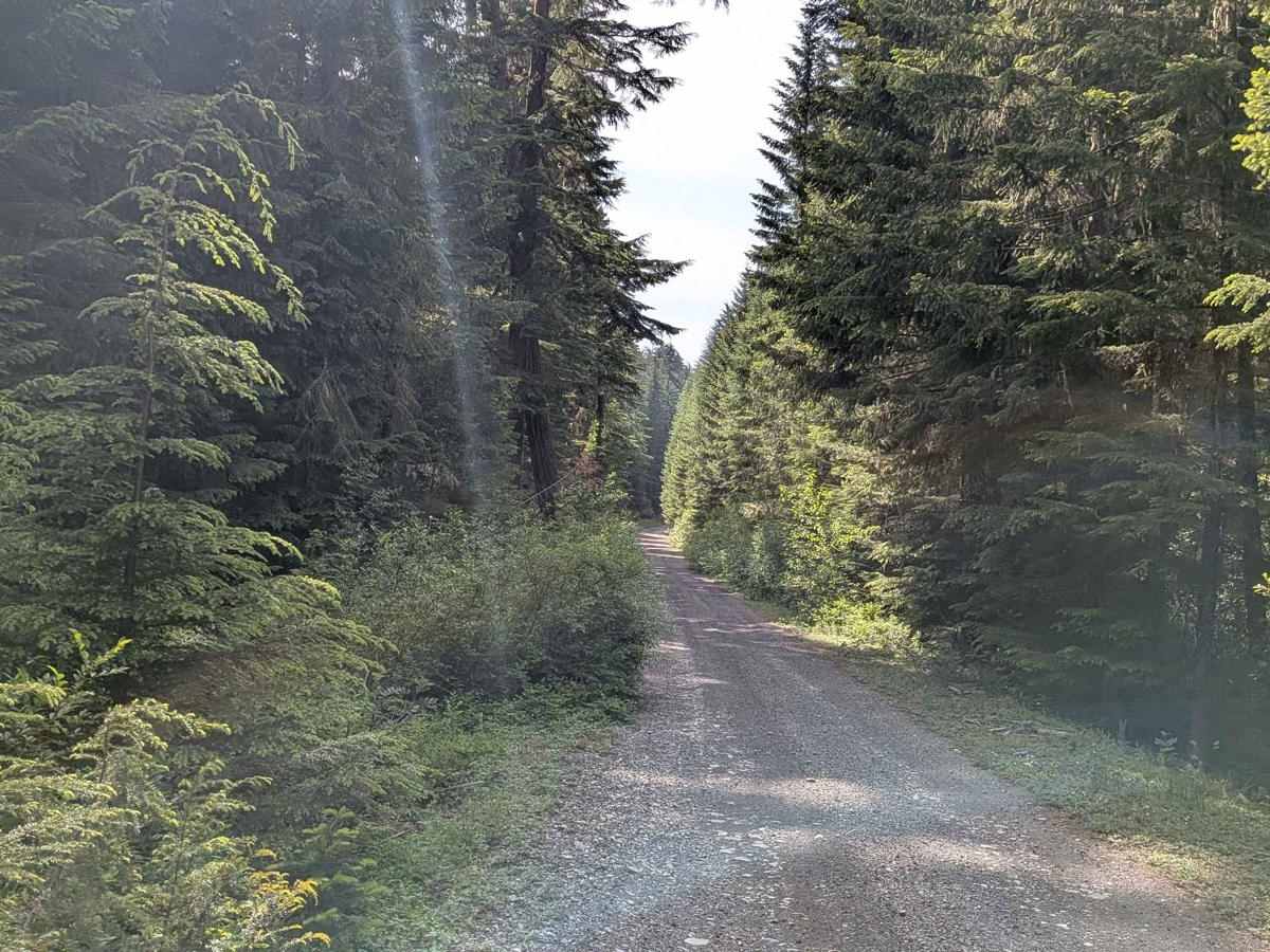 FS 5740230 trail photo