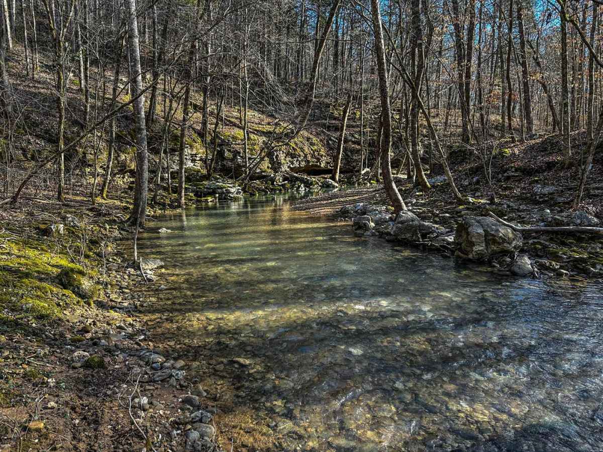 Mountain Bypass Trail photo 2