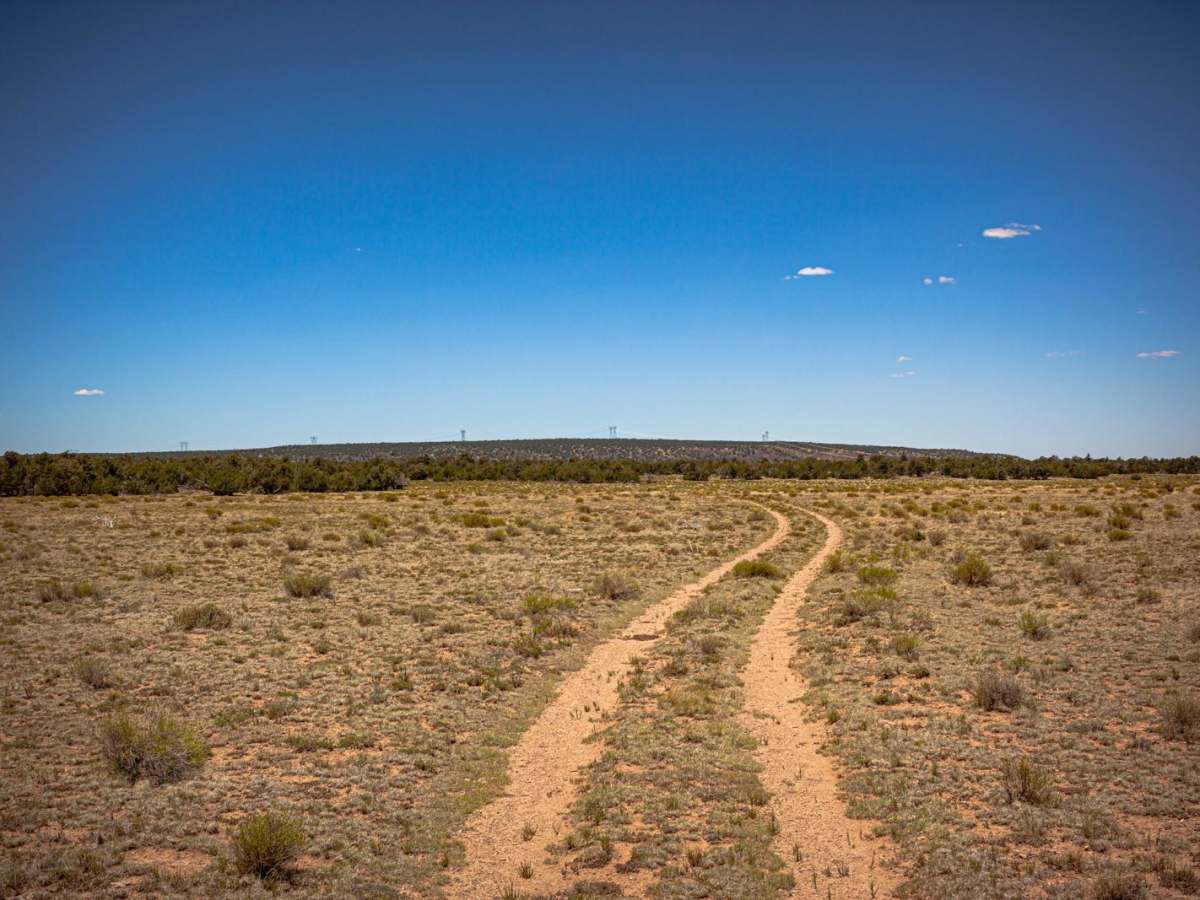 Surrounding Smoot - FR2018 photo 3