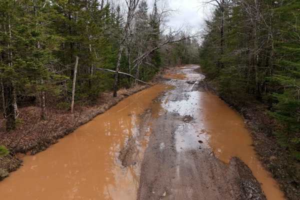 Renfrew Road