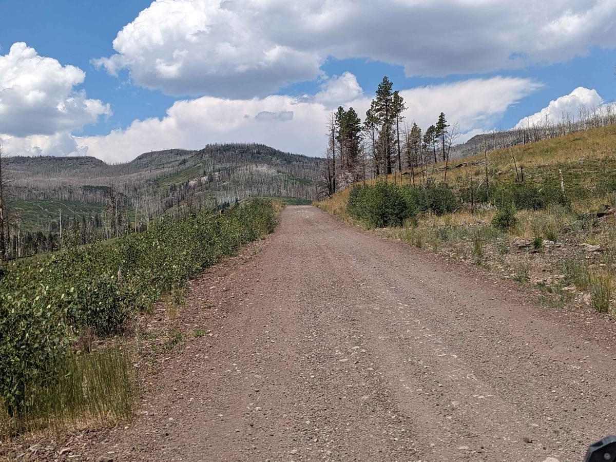 Markagunt Plateau-Clear Creek FS 30050 photo 3