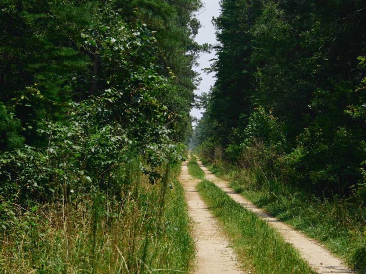 Hell Hole Bay Wilderness - FSR 158 photo 5