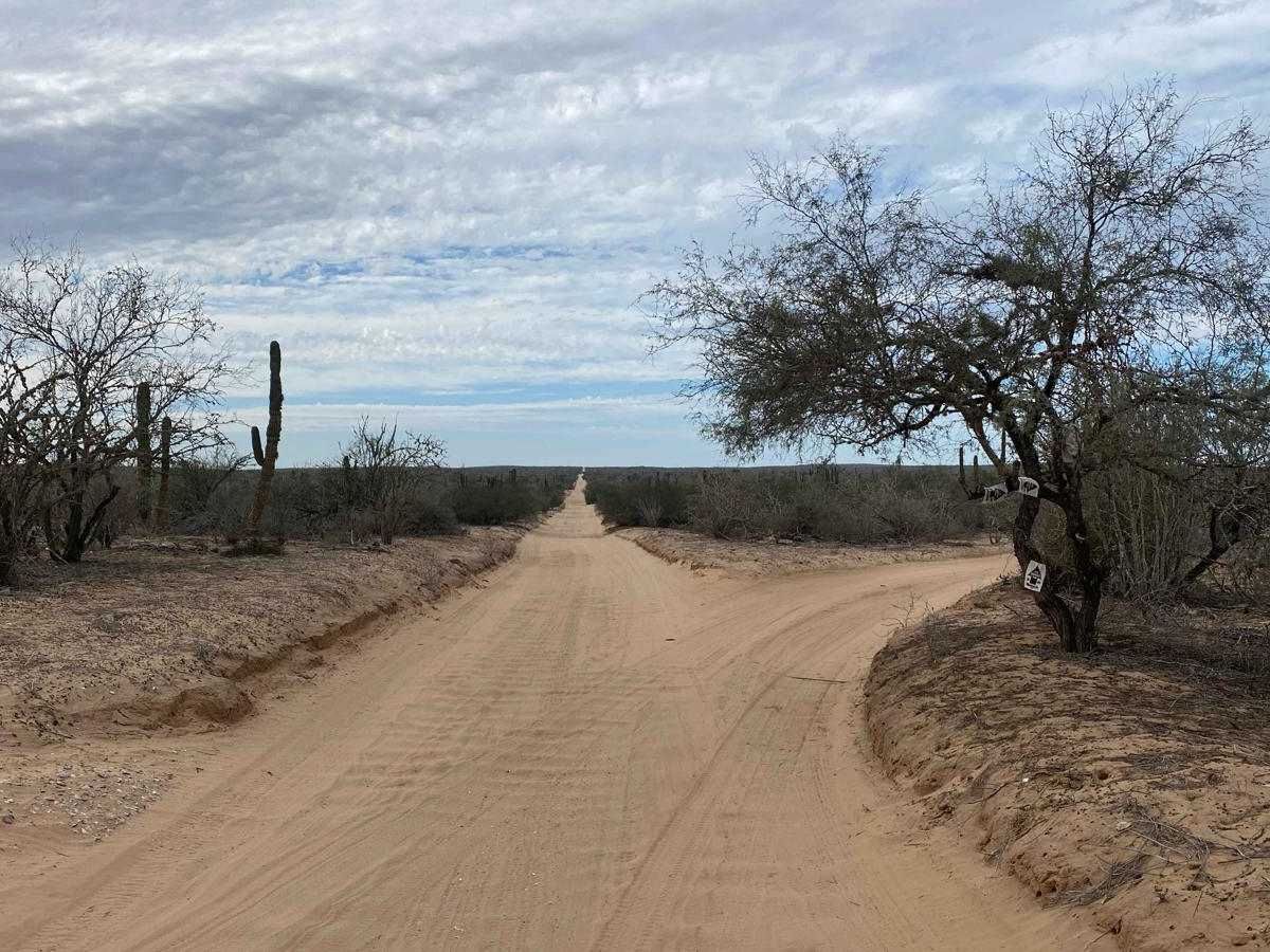 Santa Domingo West trail photo