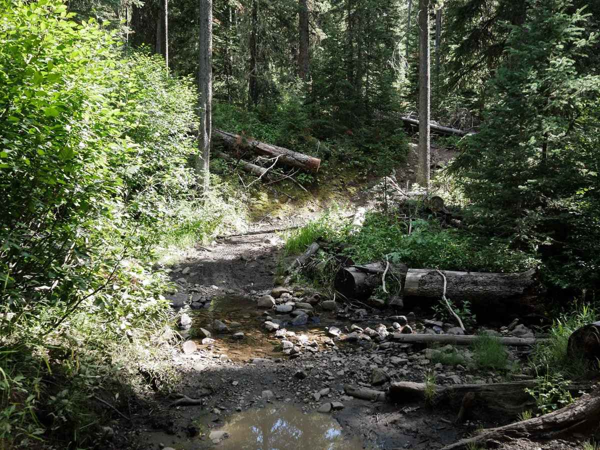 Porcupine Creek #34 photo 5
