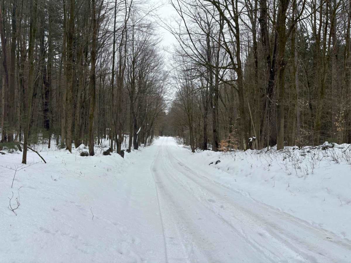 Bear Swamp photo 2