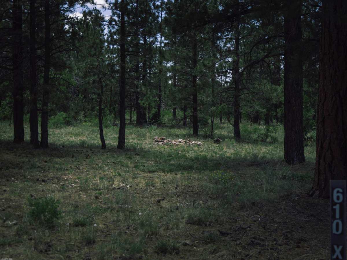 Dog Point photo 3