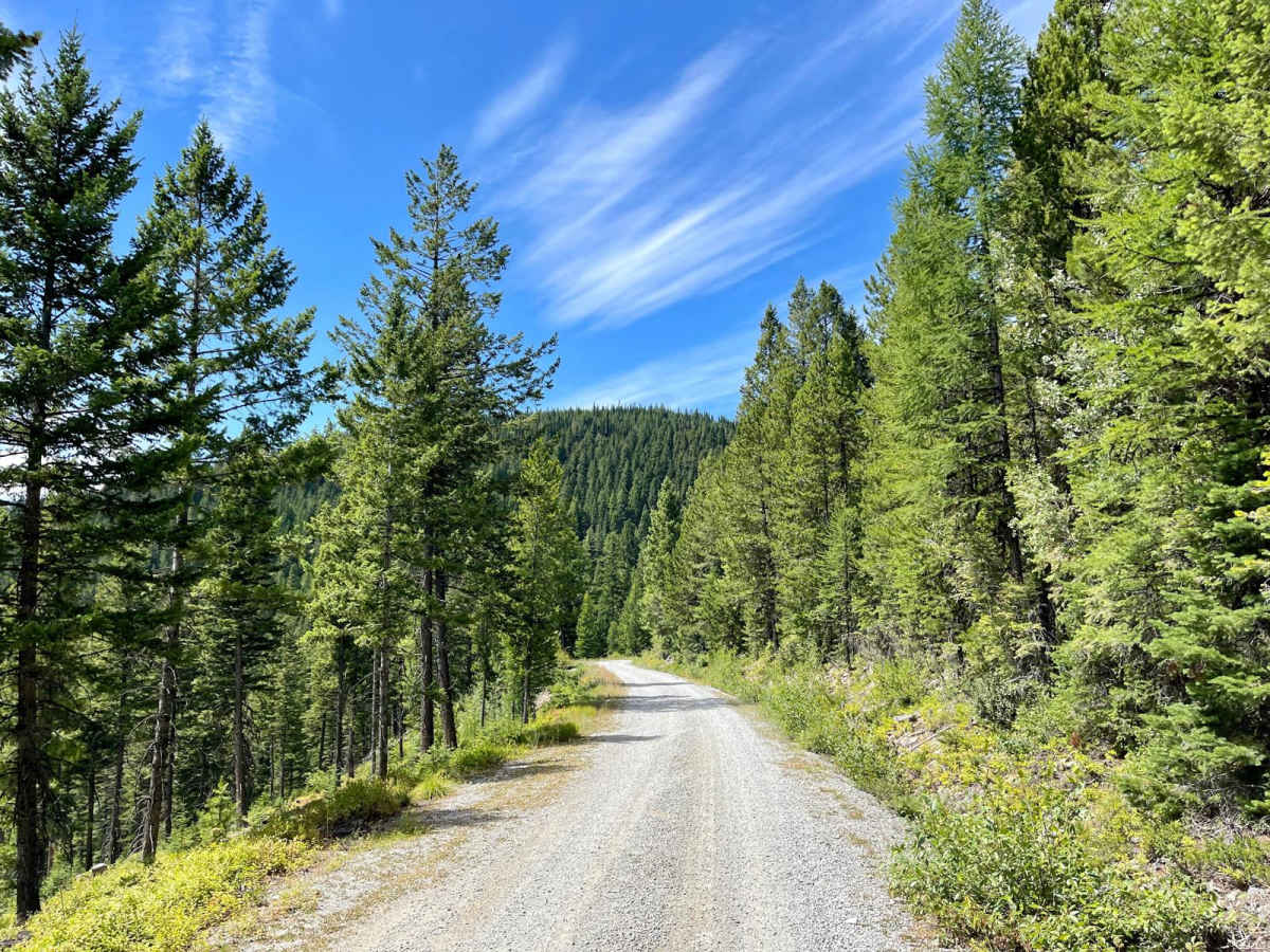 Truman Creek Road trail photo
