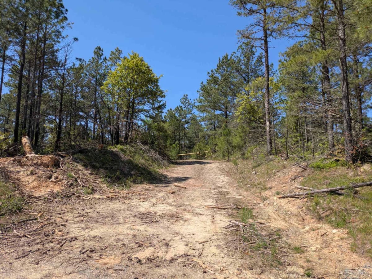 24143 trail photo