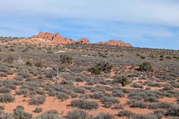 Arches via Salt Valley Road
