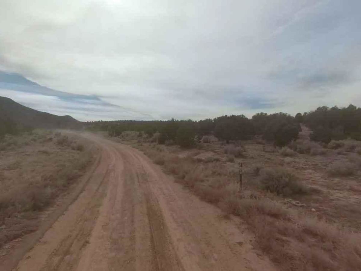 Seegmiller Mountain Road BLM 1020 photo 6