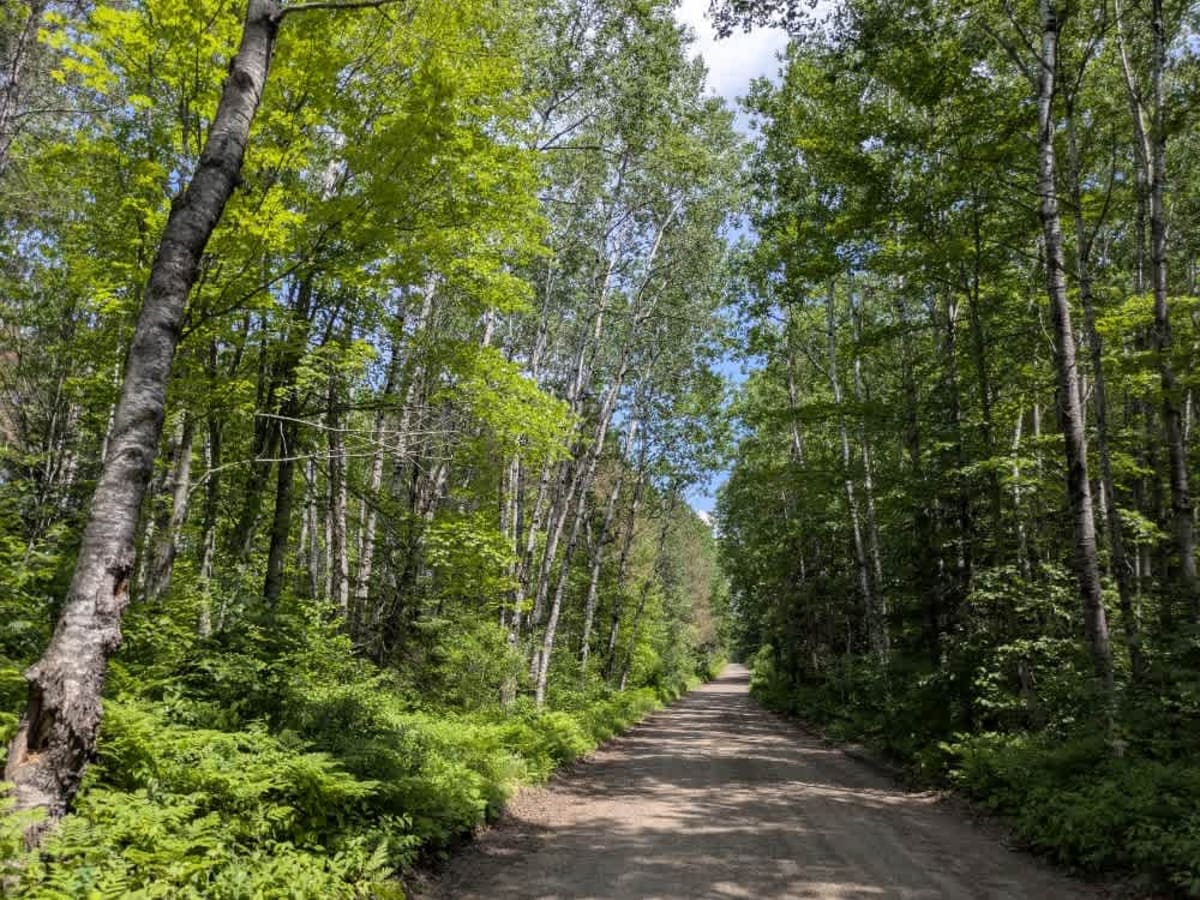 West Spider Lake Drive trail photo