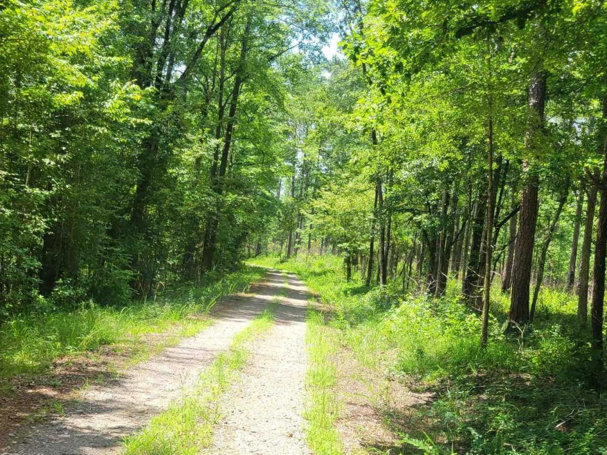 Horn Creek (638) via Prescott Road photo 6