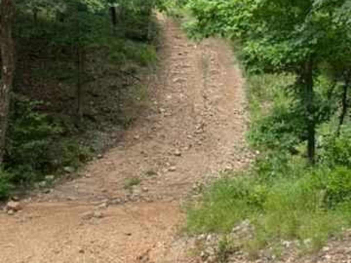 Jana's Trail photo 6