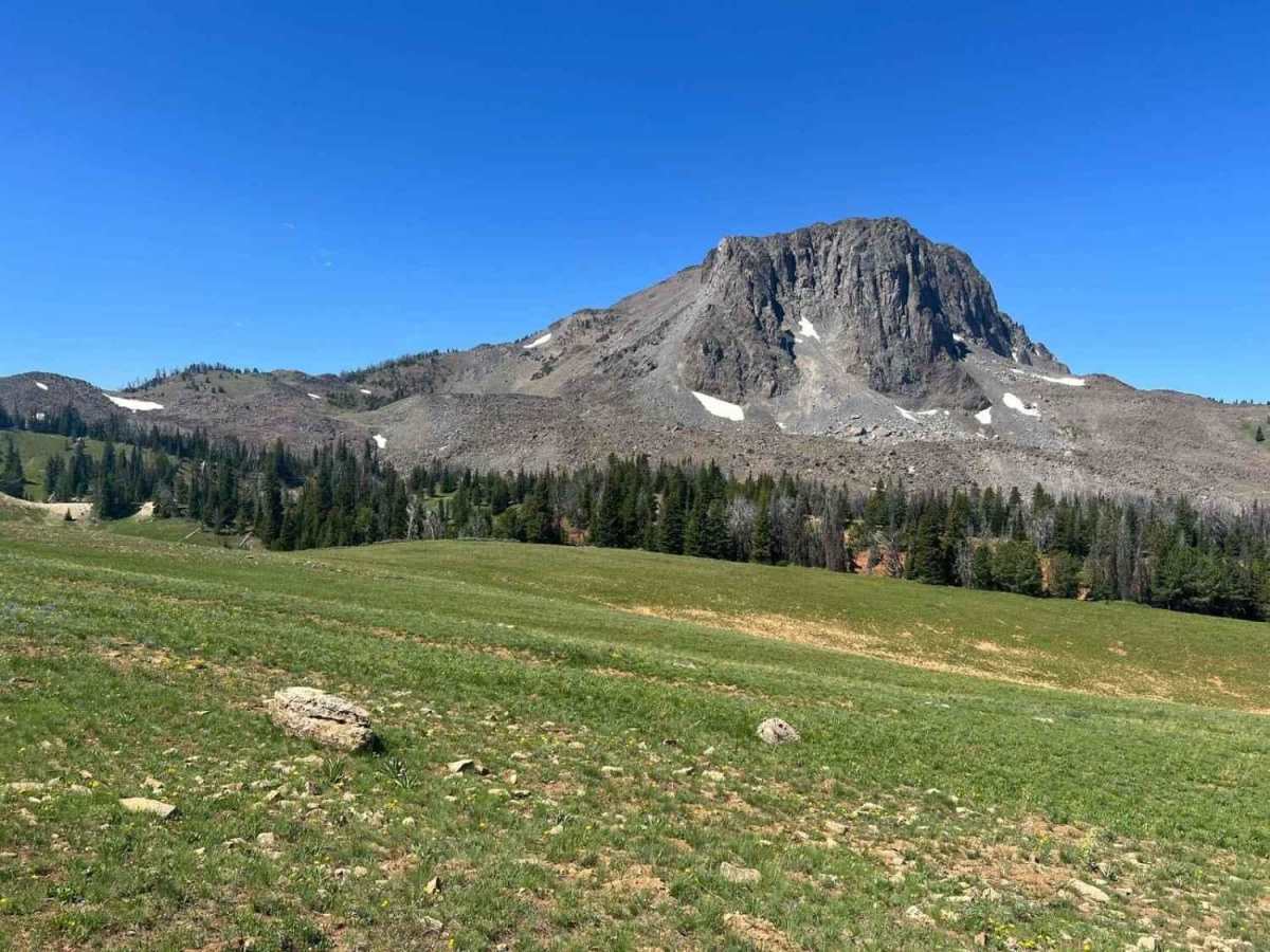 Cottonwood Creek Road - FS1012 trail photo