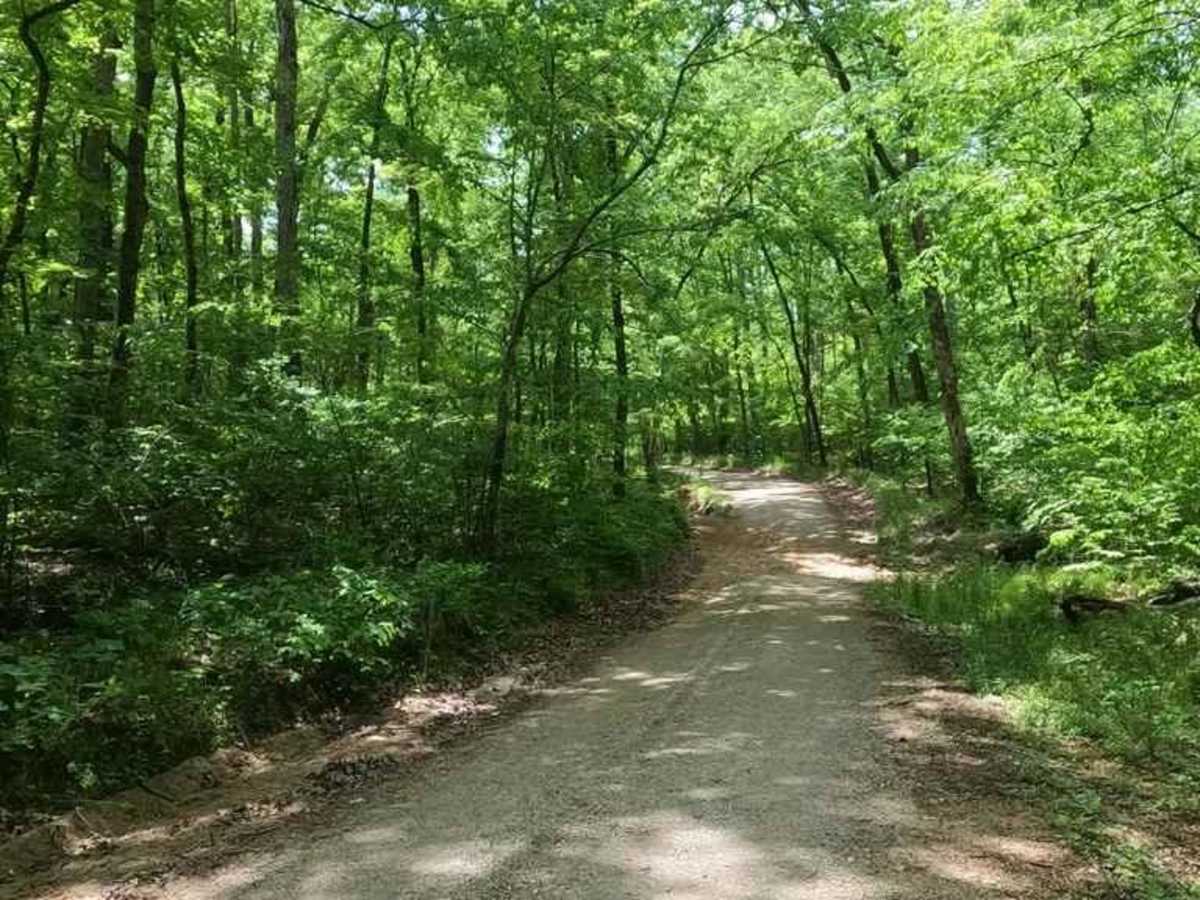 Mayfield Loop Bo-Co Road 348/350 photo 3