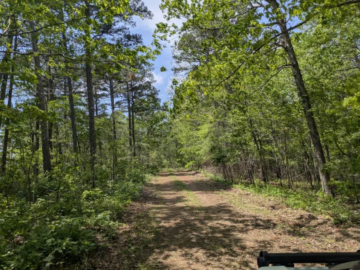 Merrill Ridge photo 3