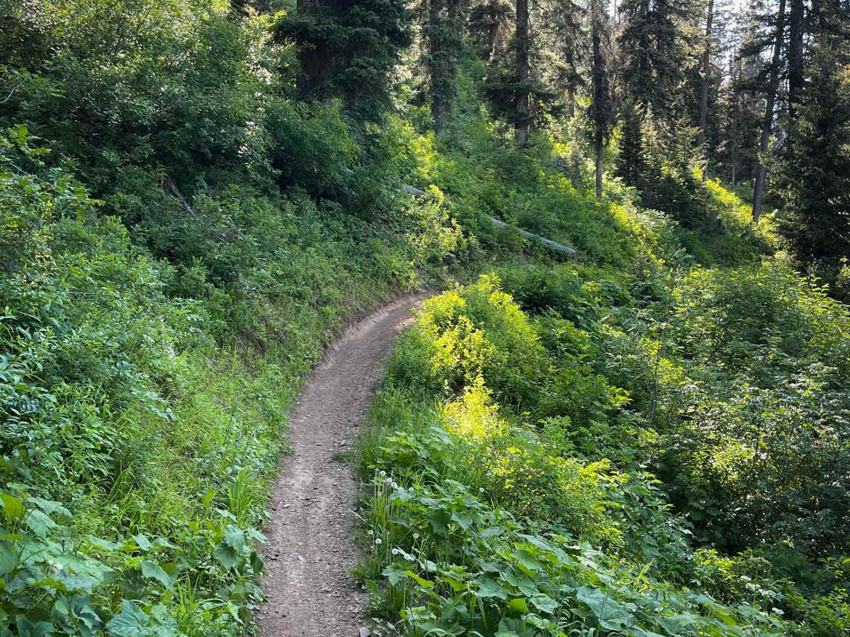 South Grove Creek trail photo