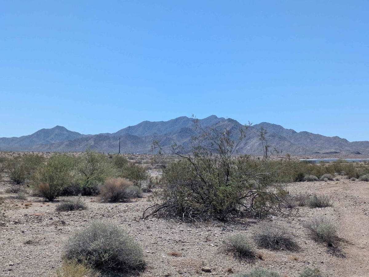 RV Oasis Bypass East photo 3