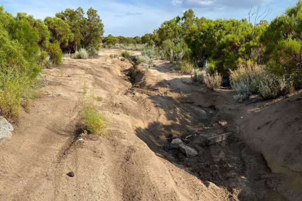 Cut-Off to Original Camino a La Laguna Hanson