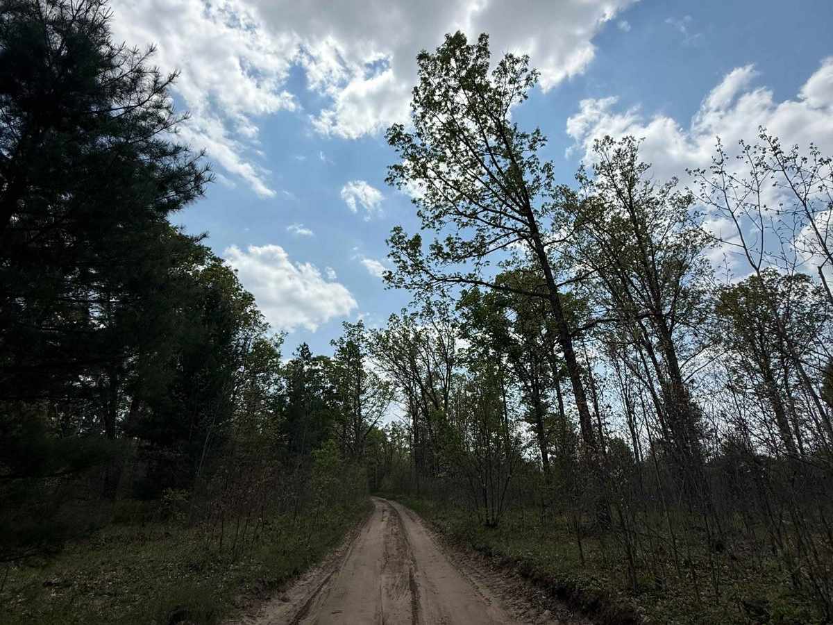 Roberts Trail photo 3