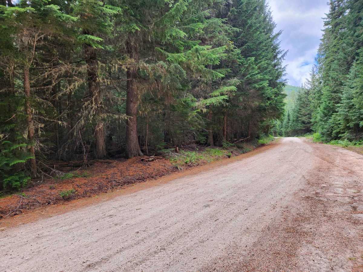 Smith Creek of Boundary County photo 3