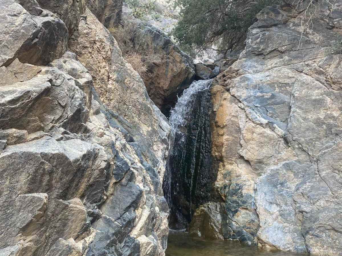 Nickel Falls trail photo