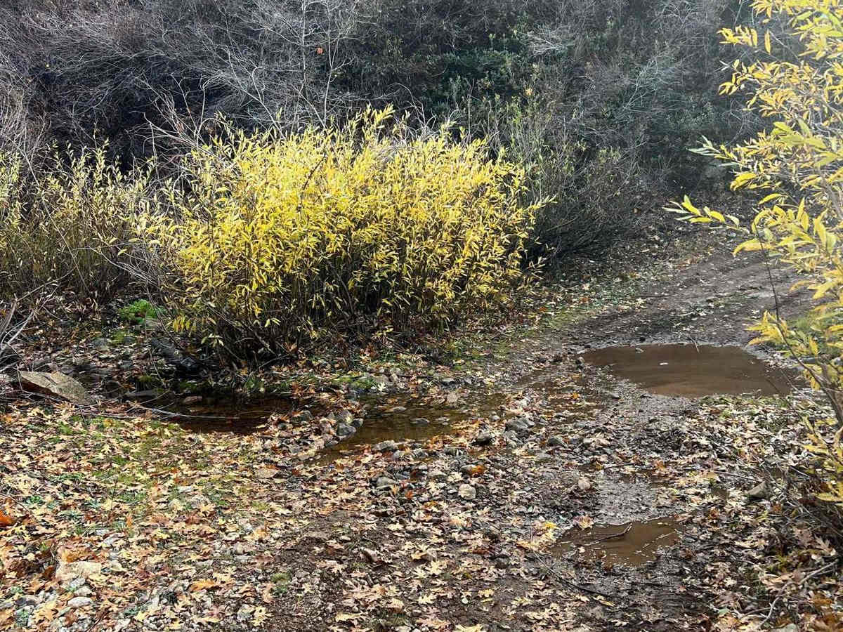 Wrights Crossing photo 4