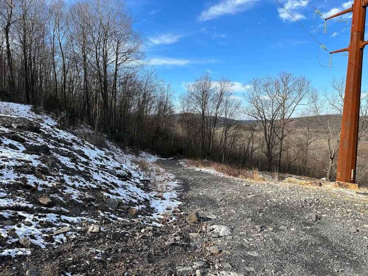 Locust Gap 81 trail photo