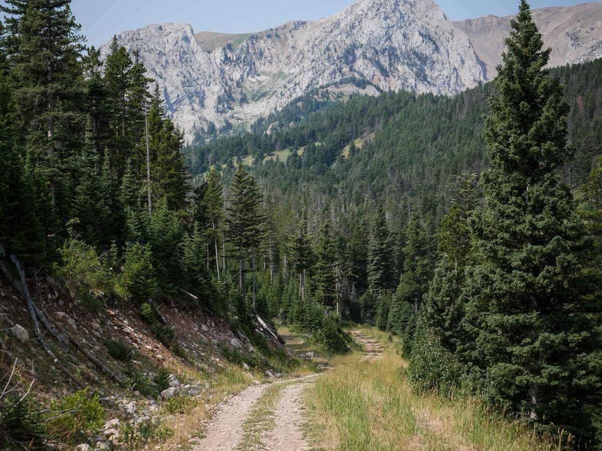 Carrol Creek trail photo