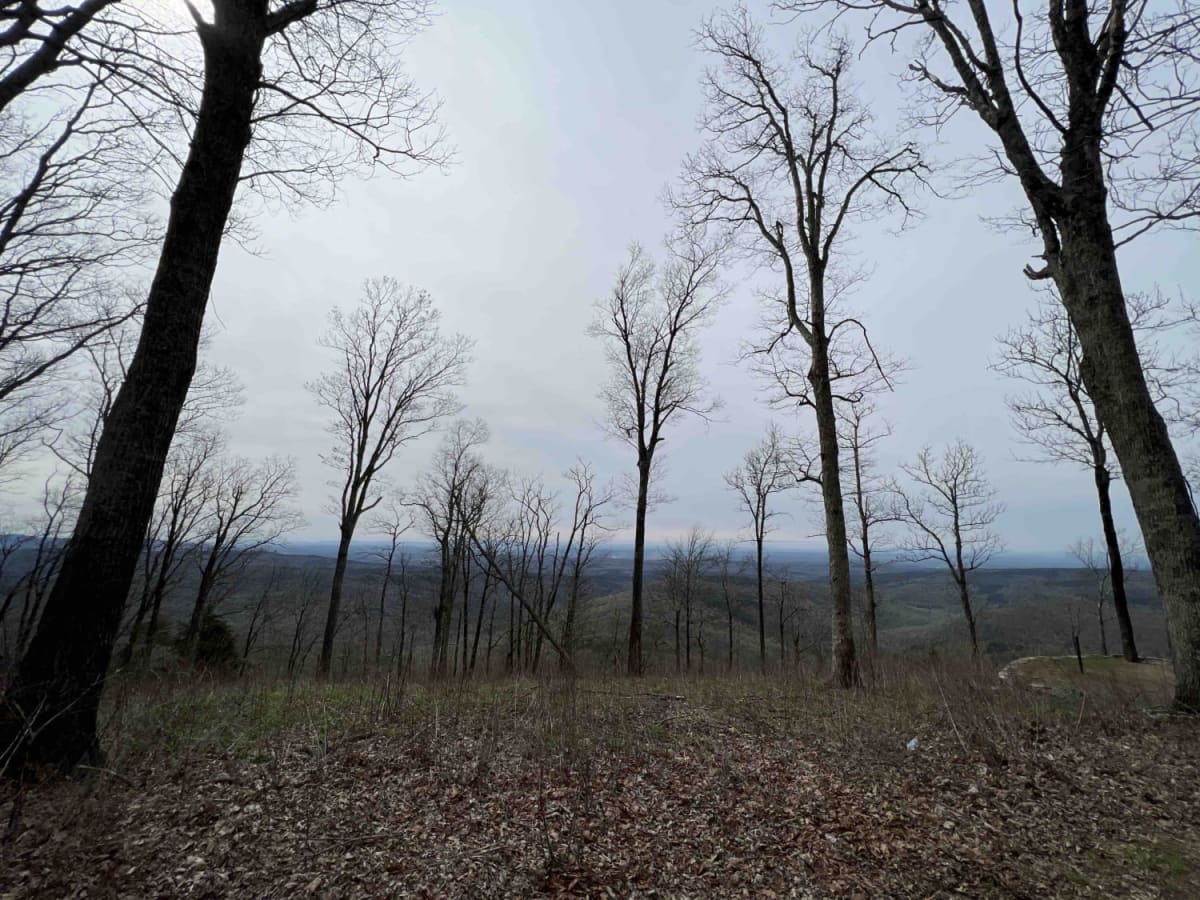 White Rock Mountain East photo 4