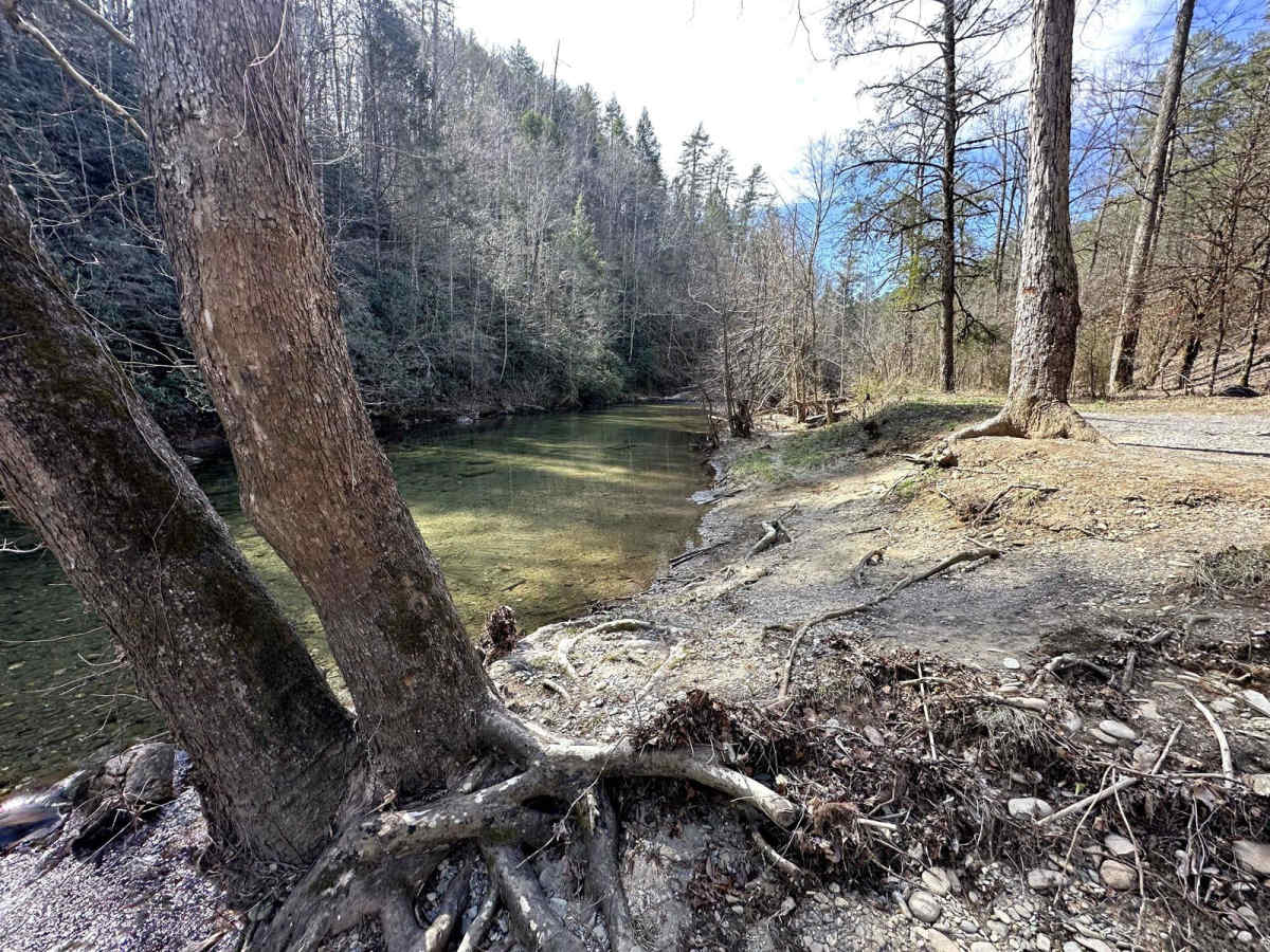Citico Creek North photo 2