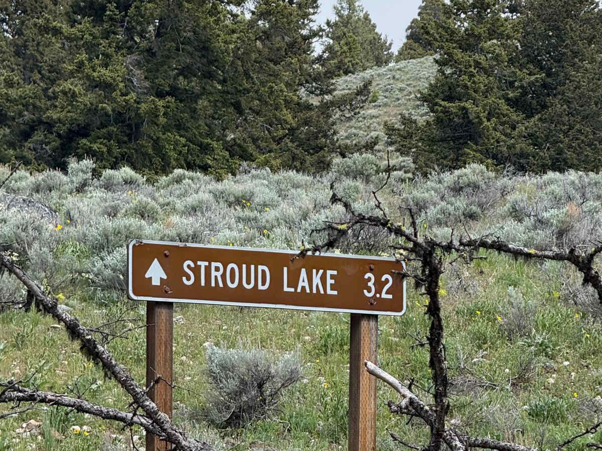 Stroud Lake trail photo