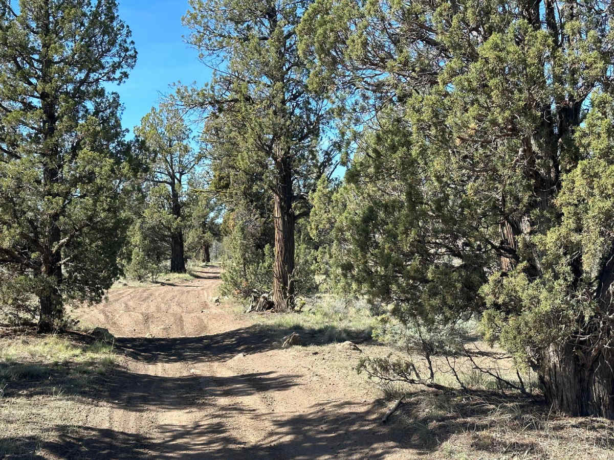 Cline Butte Trail 31 photo 3