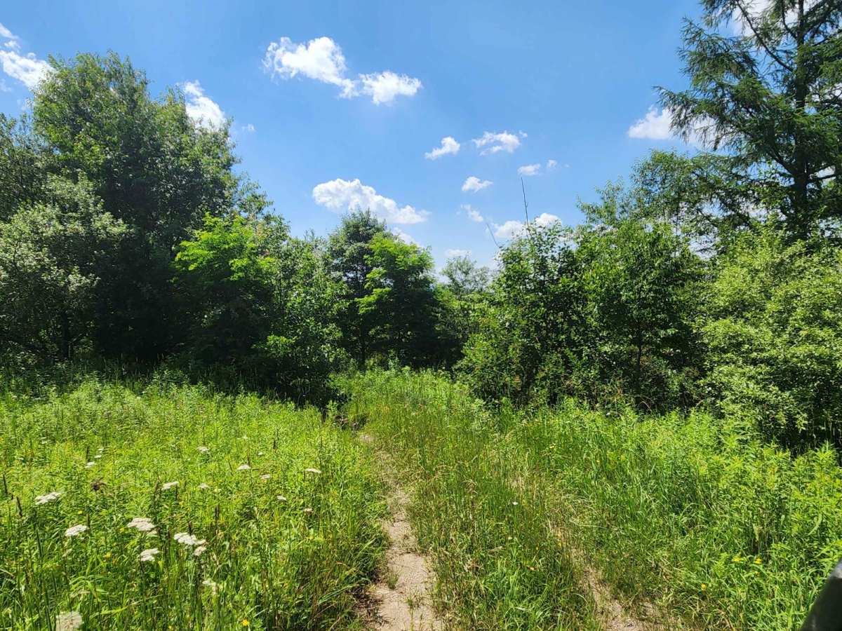 Trail 8D - Rock Run Recreation Area photo 3