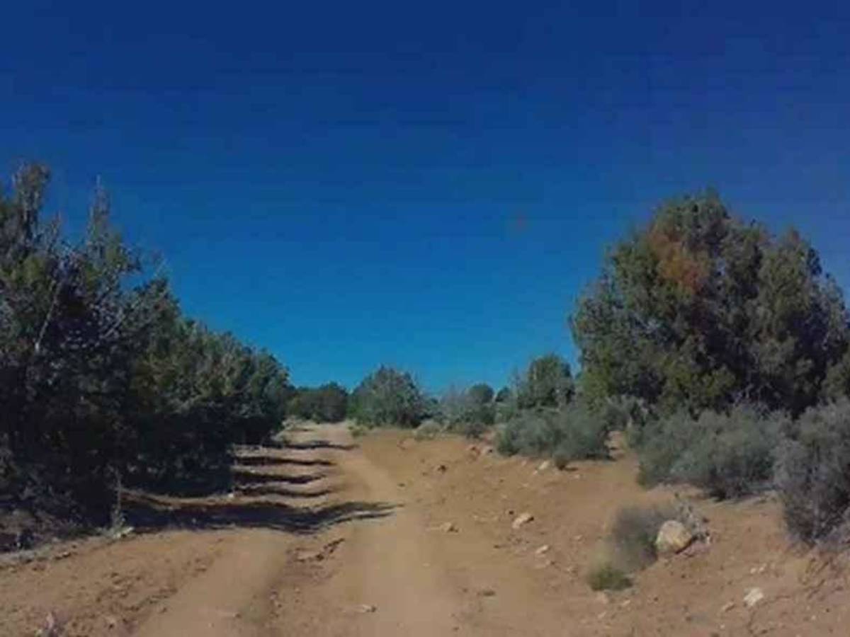 Snap Point Road BLM 1012 photo 4