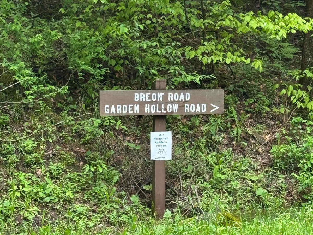 Breon Road trail photo