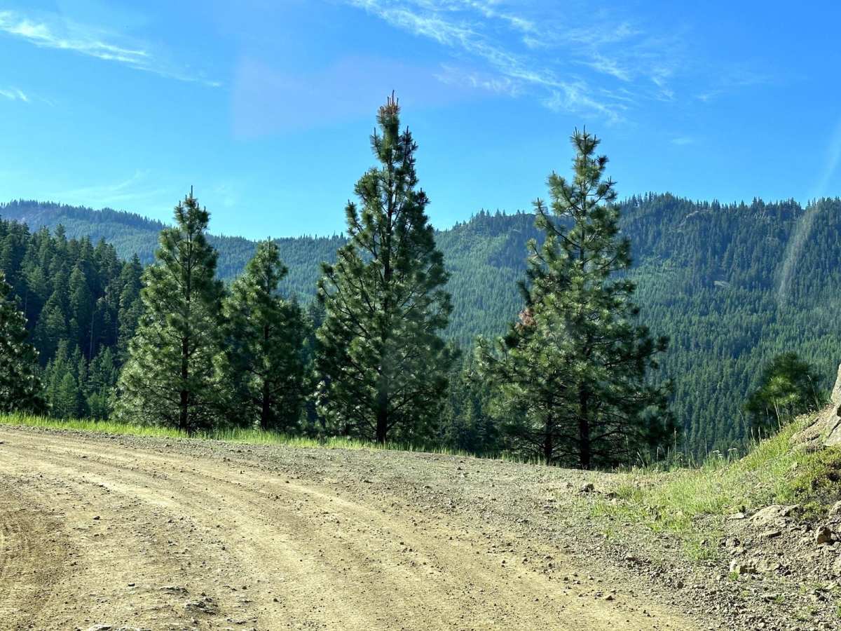 Milk Creek Road photo 5