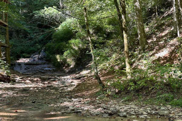 Waterfall Trail