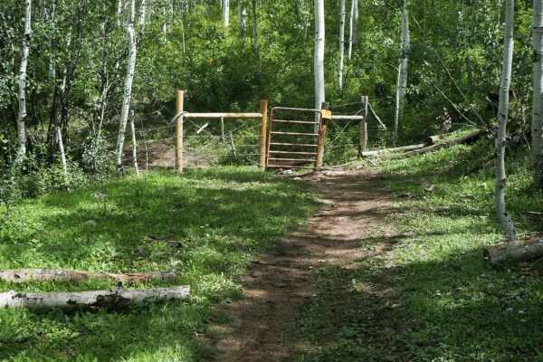 Rim Trail