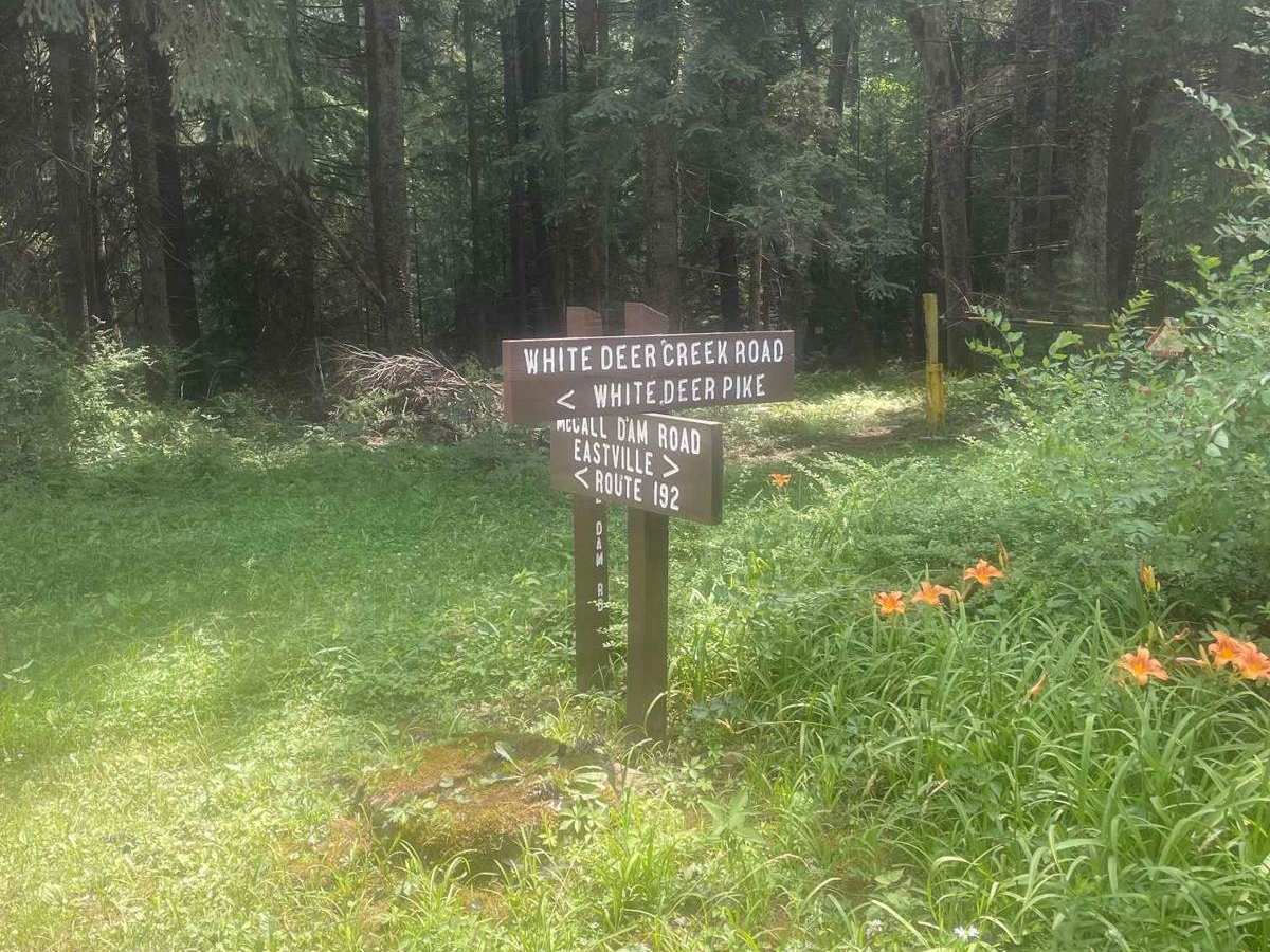 White Deer Creek Road photo 3