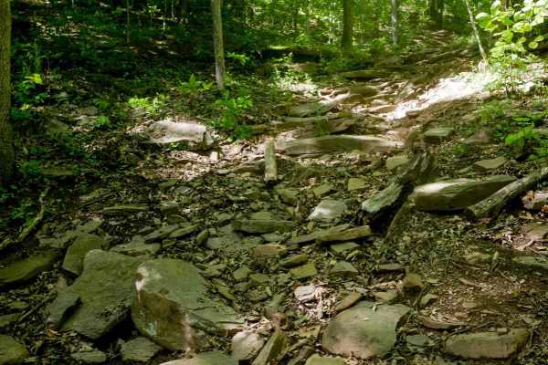Trail 25