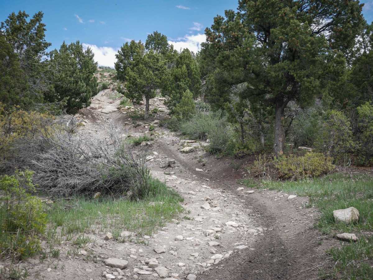 Indian Creek to Willow Creek Ridge ATV photo 2