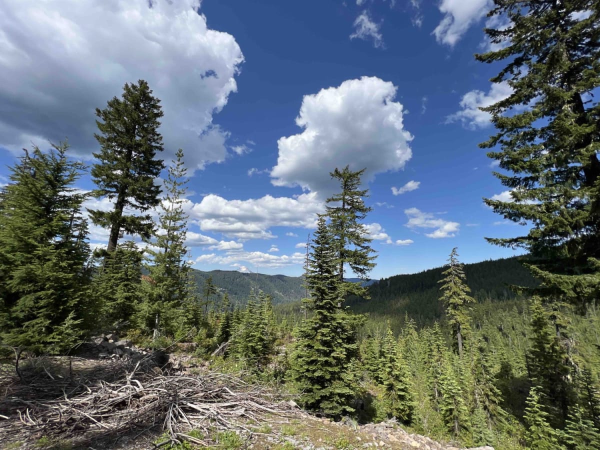 Hideaway Lake - FR 5830 photo 5