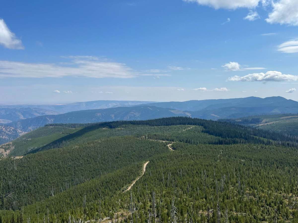 Sugarloaf Mountain Lookout Tower photo 5