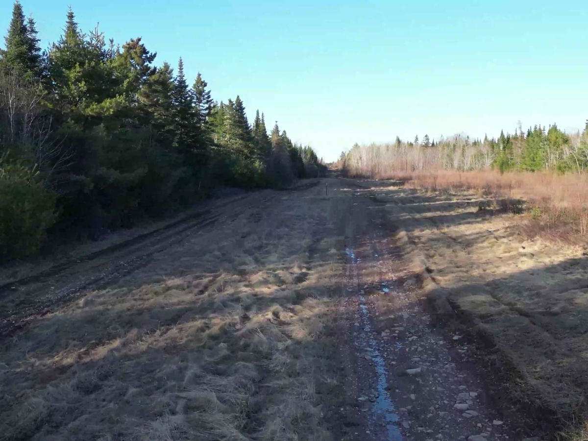 Sunshine Estates Trail photo 4