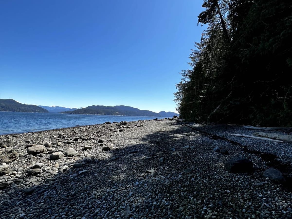 McMullen Point Beach photo 3