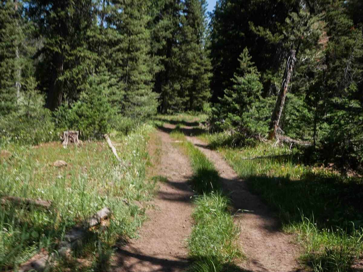 North Middle #3443  photo 3