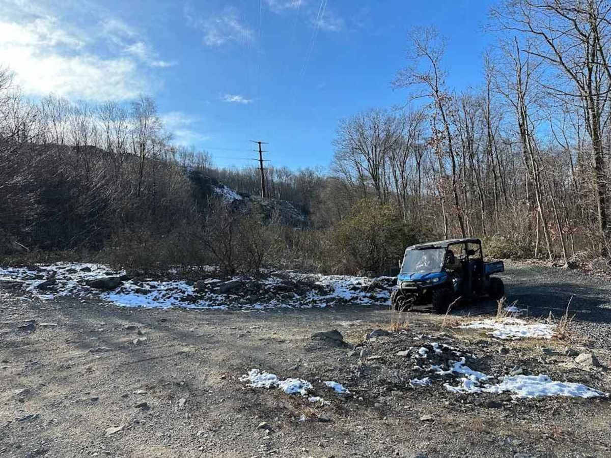 Locust Gap 15 photo 5