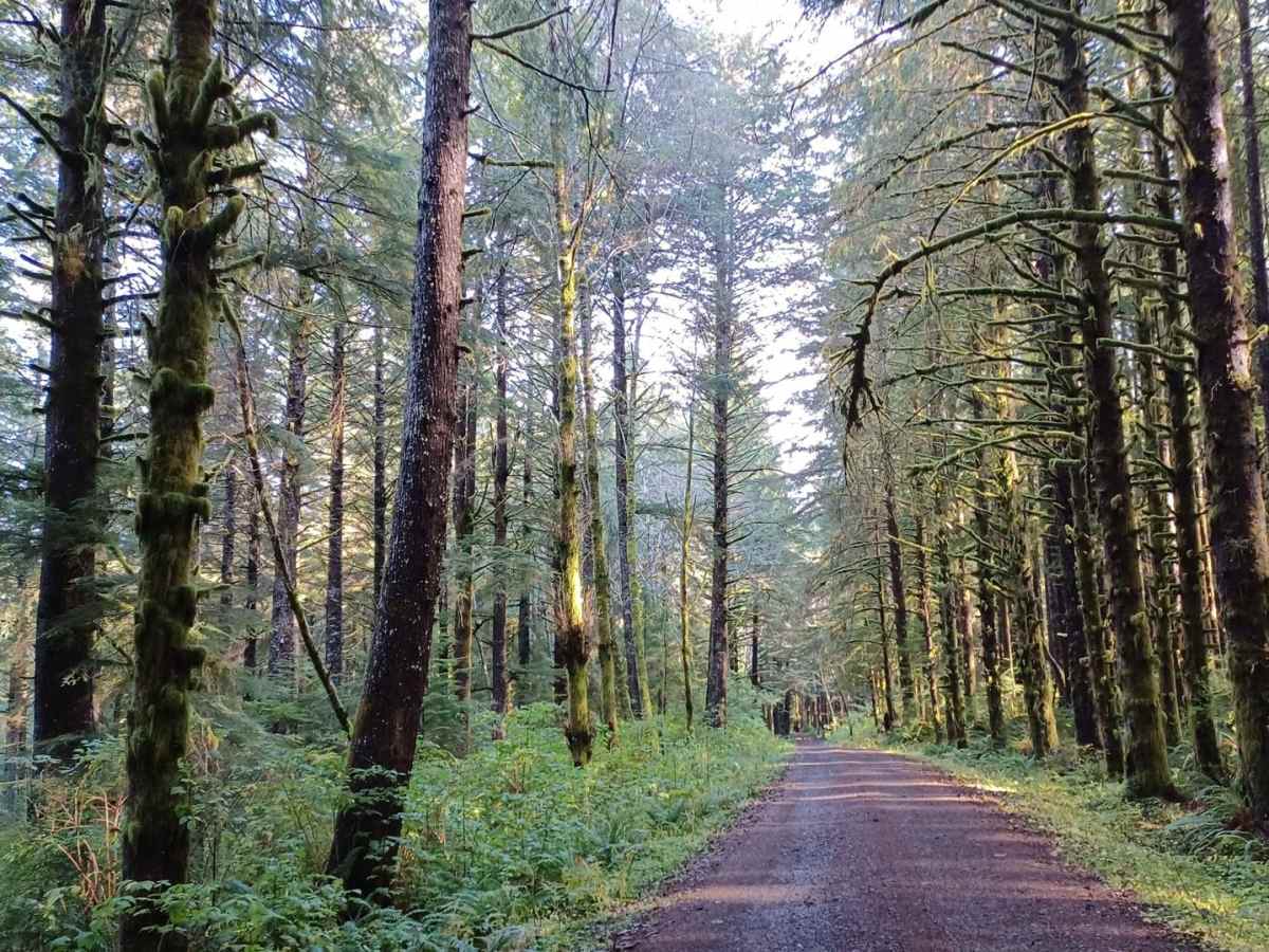 Lewis Creek photo 5