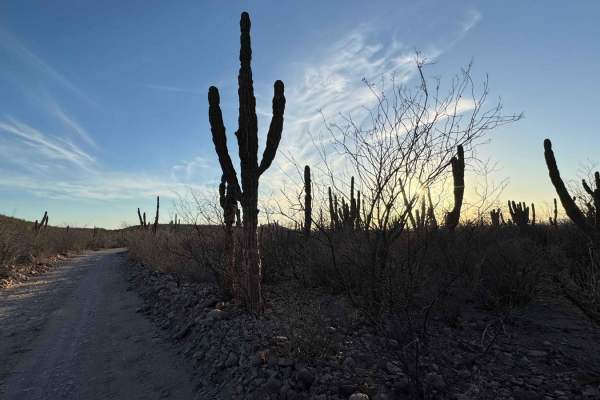 Rancho La Palma